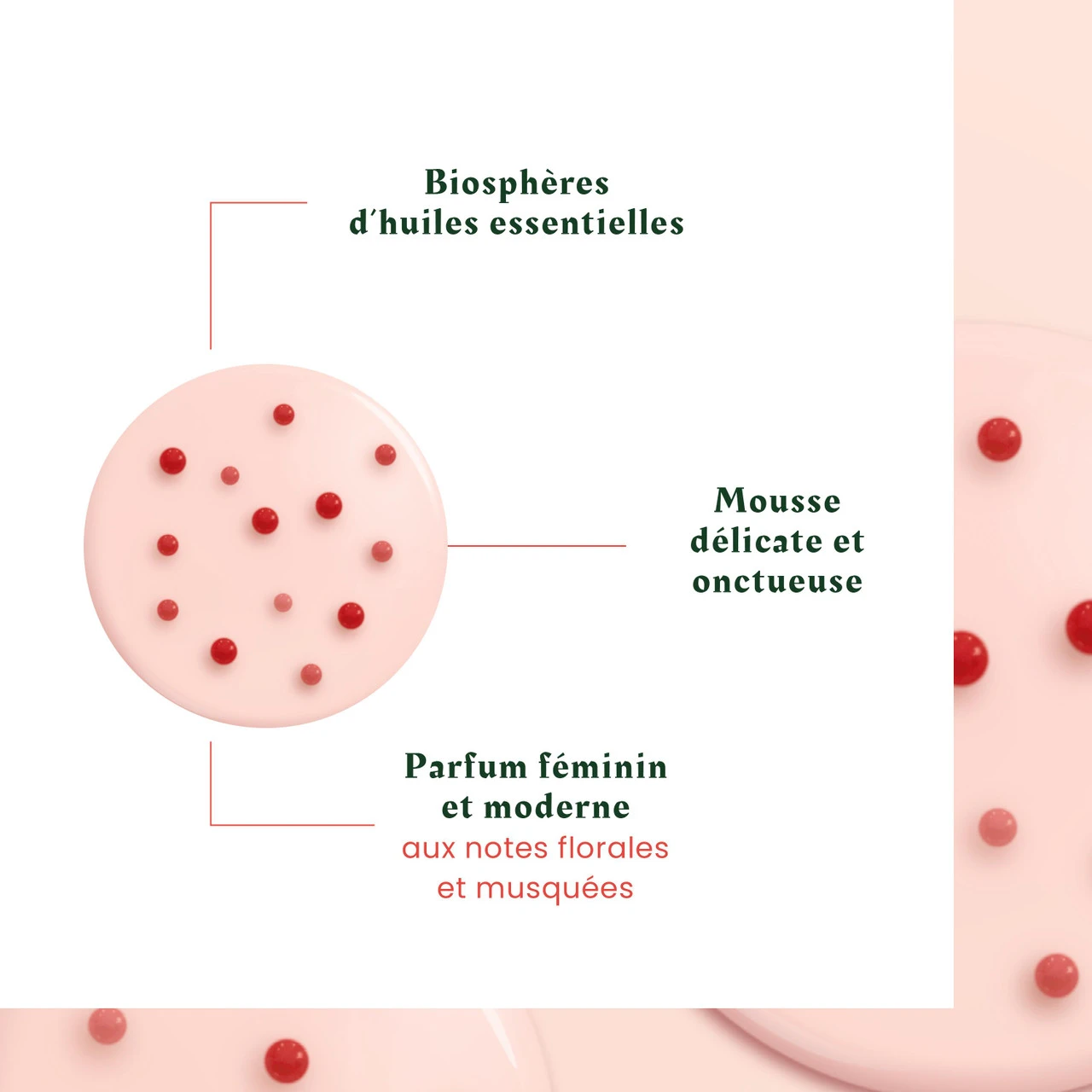 Shampooing Tonucia René Furterer 200ml – Image 3