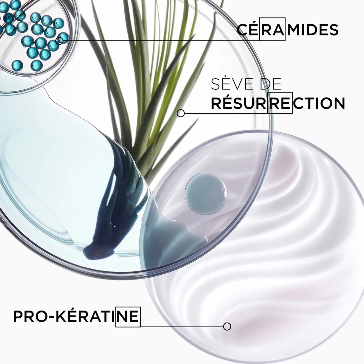 Masque Force Architecte Kérastase 200ml 7 Masque Force Architecte Kérastase 200ml – Image 5