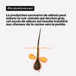 Shampooing Dermo-purifiant Anti Gras Scalp Advanced L'Oréal 1500ml -Produits Capillaires 3474637106416 4 47452.1684847766