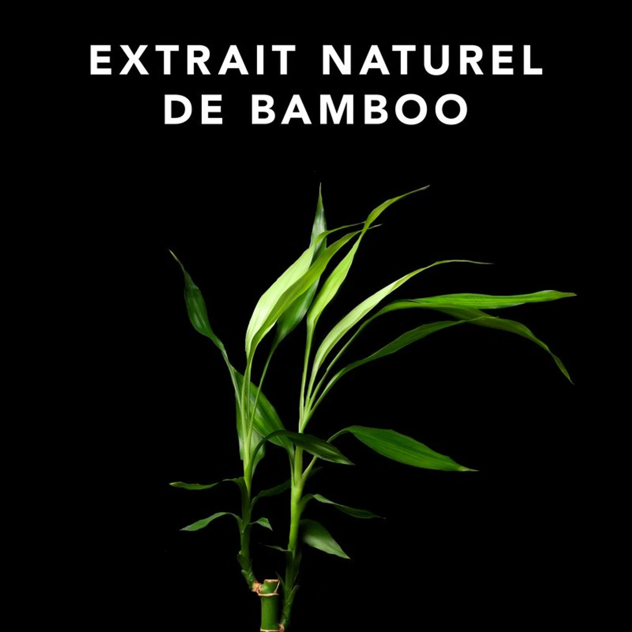 Soin Volupt Conditioner 1000ml 4 Soin Volupt Conditioner 1000ml – Image 2