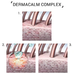 Balance Shampoo 250ml System Professional -Produits Capillaires Complex Dermacalm System Professional 37134.1684847167