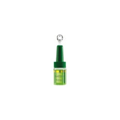 Routine Antichute Progressive René Furterer -Produits Capillaires Serum Antichute Triphasic Rene Furterer X16 boite zoom 98476.1686210042
