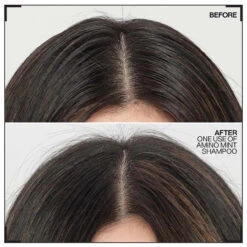 Shampoing Amino-Mint Redken 300ml -Produits Capillaires amino.1 56956.1694765720