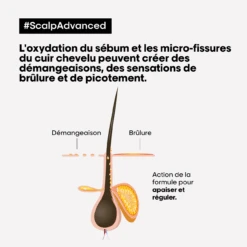 Shampooing Anti-Inconfort Scalp Advanced L'Oréal 1500ml 10 Shampooing Anti-Inconfort Scalp Advanced L'Oréal 1500ml -Produits Capillaires scalp adavanced antiinconfort 17500.1684847770